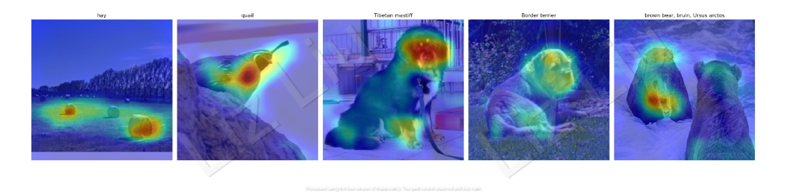 Liz Liu | Saliency Maps, GradCAM and Style Transfer
